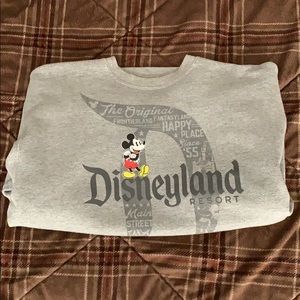 Disneyland sweatshirt.